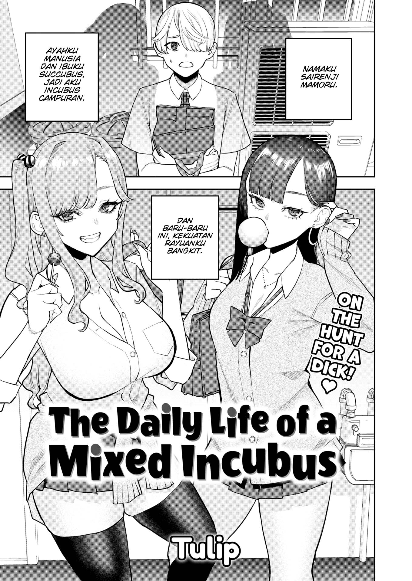 The Daily Life of a Mixed Incubus
